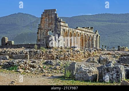 Gewölbte Außenmauer der Basilika mit Säulen in Volubilis, Berber-römische Stadt aus dem alten Mauretanien in der Nähe von Meknes, Fes-Meknes, Marokko Stockfoto