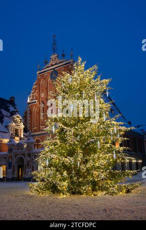 Geschmückter Weihnachtsbaum auf dem Rathausplatz, das Haus der Mitesser auf dem Hintergrund. Altstadt von Riga, Lettland. Stockfoto