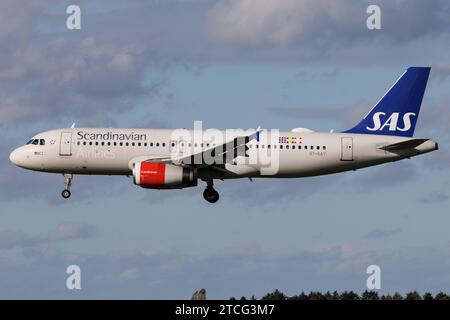 Der Airbus A320-232 A320 der Fluglinie SAS SK / SAS mit der Registrierung OY-KAY MSN: 02856 landet am Flughafen Hamburg Airport EDDH/HAM. Hamburg Hamburg Deutschland *** der Airbus A320 232 A320 der Airline SAS SK SAS mit der Registrierung OY KAY MSN 02856 landet am Flughafen Hamburg EDDH HAM Hamburg Deutschland Stockfoto