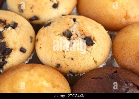 Viele frische Muffins Nahaufnahme. Stockfoto