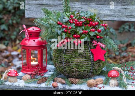 weihnachtsarrangements mit gaultheria procumbens in Eierkorb und Laterne Stockfoto