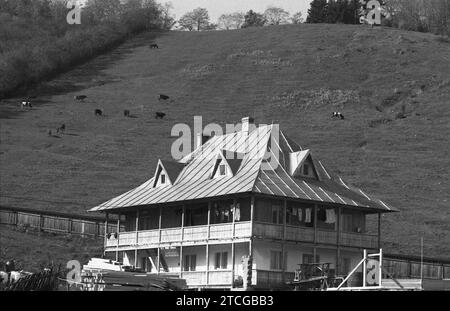 Bed and Breakfast in Neamt County, Rumänien, ca. 1998 Stockfoto