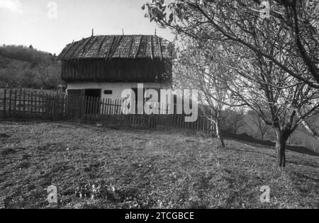 Scheune auf einem ländlichen Grundstück im Kreis Neamt, Rumänien, ca. 1998 Stockfoto