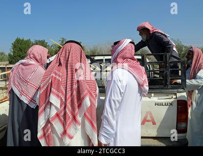 Viehhändler bei einer Straßenauktion in Saudi-Arabien Stockfoto