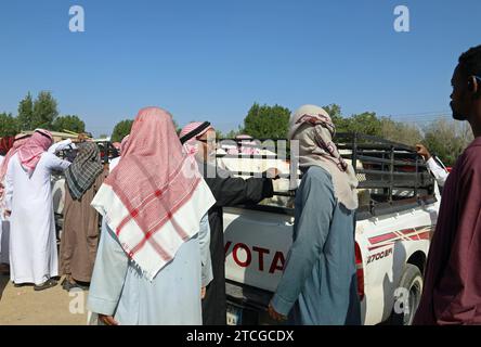 Viehhändler bei einer Straßenauktion in Saudi-Arabien Stockfoto