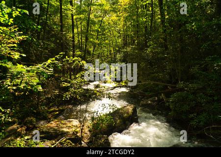 Im Unicoi State Park in der Nähe von Helen in Georgia, USA, blickt man auf den Wasserstrom, der an Felsen und Wäldern vorbei strömt Stockfoto