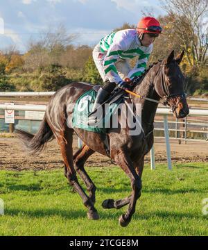 Die Royal Racecourse, Lisburn, Nordirland. November 2023. Ladbrokes Festival of Racing (Tag 1) - die BOTTLEGREEN HÜRDE (KLASSE 3). Rennpferd Media Naranja (6), geritten von Jockey Jordan Gainford. Stockfoto