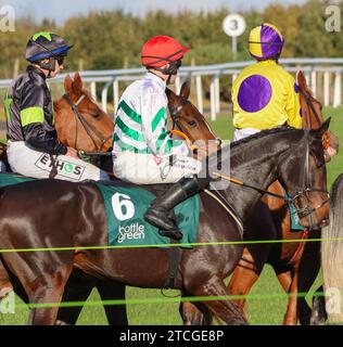 Die Royal Racecourse, Lisburn, Nordirland. November 2023. Ladbrokes Festival of Racing (Tag 1) - die BOTTLEGREEN HÜRDE (KLASSE 3). Rennpferd Media Naranja (6), geritten von Jockey Jordan Gainford. Stockfoto