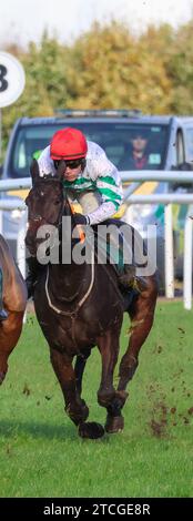 Die Royal Racecourse, Lisburn, Nordirland. November 2023. Ladbrokes Festival of Racing (Tag 1) - die BOTTLEGREEN HÜRDE (KLASSE 3). Rennpferd Media Naranja (6), geritten von Jockey Jordan Gainford. Stockfoto