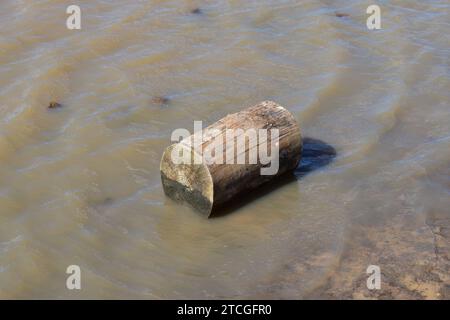 Ein runder, geschliffener Holzstamm, der auf der Seite liegt und teilweise in schmutziges, aufgerautes Wasser getaucht ist Stockfoto