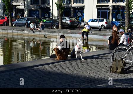 Person mit zwei Hunden und anderen Personen, die am Wasser auf dem Saint-Catherine-Platz im Stadtzentrum von Brüssel sitzen Stockfoto