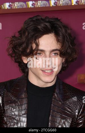 Timothee Chalamet 12/10/2023 „Wonka“ Los Angeles Premiere im Regency Village Theatre in Los Angeles, KALIFORNIEN Foto: Izumi Hasegawa / Hollywood News Wire Inc Stockfoto