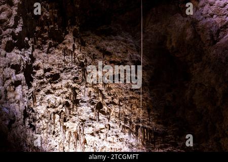 Das Einzelseil hängt vom Top of the Big Room im Carlsbad Caverns National Park Stockfoto