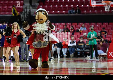 College Park, MD, USA. Dezember 2023. Maryland Terrapins Maskottchen reagiert während des NCAA-Basketballspiels zwischen den Alcorn State Braves und den Maryland Terrapins im Xfinity Center in College Park, MD. Reggie Hildred/CSM/Alamy Live News Stockfoto