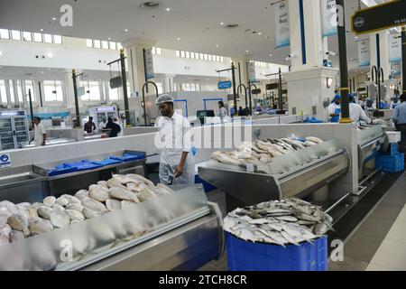 Frischer Fisch, der von einem Händler im Souq Al Jubail präsentiert wird, ist ein großer Markt für frischen Fisch und Meeresfrüchte sowie Obst und Gemüse in Sharjah, VAE. Stockfoto