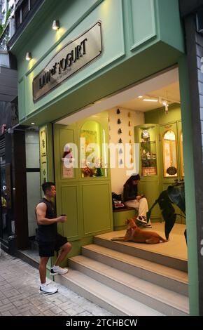 Das beliebte Gesetz des Joghurts Dessert Shop in der zweiten Straße in Sai Ying Pun, Hongkong. Stockfoto