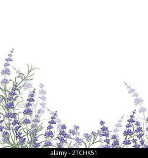 Florale lila-lavendelfarbene Borte aus Lavendelblüten und Blättern, zum Gestalten von Postkarten, Einladungen, Bannern, Verpackungen und Tapeten. Ein Rahmen Stock Vektor