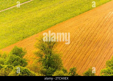 Weinberge Sulztal berühmtes Ziel Weinstraße Südsteiermark, Weinanbaugebiet im Frühling. Touristenziel. Grüne Hügel und Traubenernte Stockfoto