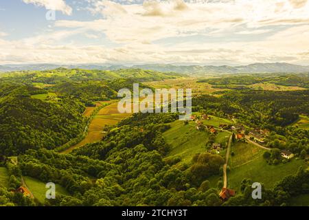 Blick aus der Vogelperspektive auf grüne Hügel und Weinberge mit Bergen im Hintergrund. Österreichische Weinbaulandschaft. Leibnitz Gebiet in der Südsteiermark, Weinland. Stockfoto