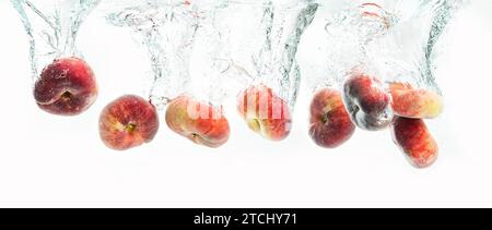 Ein Haufen Donut-Pfirsiche, isoliert auf weißem Hintergrund, spritzt ins Wasser. Panoramahintergrund Stockfoto