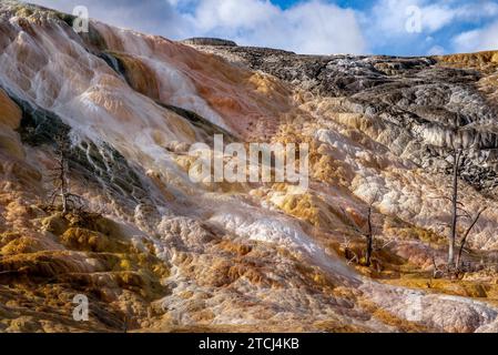 Mammoth Hot Springs im Yellowstone-Nationalpark Stockfoto