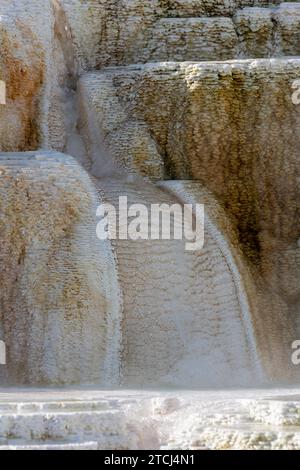 Landschaft der Mammoth Hot Springs im Yellowstone National Park Stockfoto