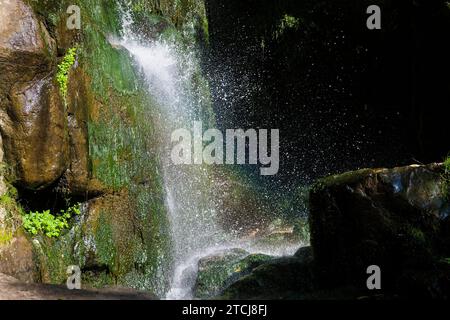 Der Wasserfall Langenhennersdorf. Mündung des Langenhennersdorfer Bachs in die Gottleuba über einen 9 m hohen Wasserfall, der Bach mit seiner Einbuchtung konnte Stockfoto