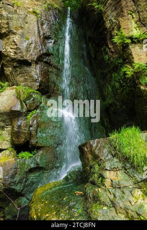 Der Wasserfall Langenhennersdorf. Mündung des Langenhennersdorfer Bachs in die Gottleuba über einen 9 m hohen Wasserfall, der Bach mit seiner Einbuchtung konnte Stockfoto