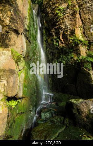 Der Wasserfall Langenhennersdorf. Mündung des Langenhennersdorfer Bachs in die Gottleuba über einen 9 m hohen Wasserfall, der Bach mit seiner Einbuchtung konnte Stockfoto