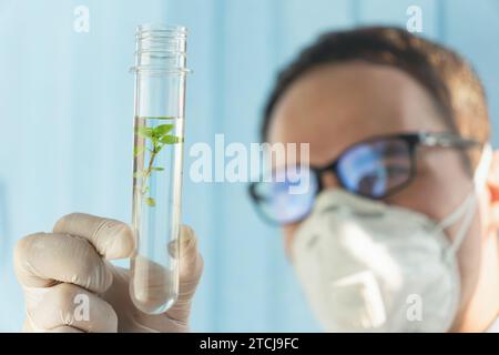 In einem modernen Labor führt der Biologe Experimente durch, indem er Verbindungen unter Verwendung von Tropfer und Pflanze in einem Reagenzglas synthetisiert. Blauer Hintergrund, Stockfoto