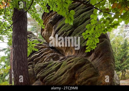 Dippoldiswalder Heide, Einsiedlerstein Stockfoto