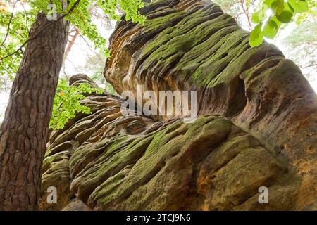 Dippoldiswalder Heide, Einsiedlerstein Stockfoto