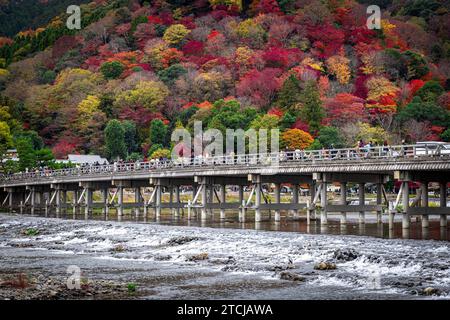 KYOTO/JAPAN - 27. November 2023: Togetsukyo-Brücke im Herbst überqueren viele Menschen die Brücke Stockfoto