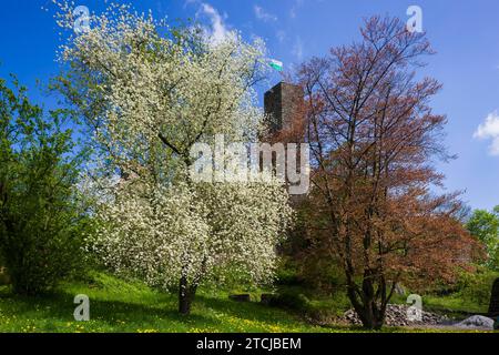 Schloss Stolpen im Frühjahr Stockfoto