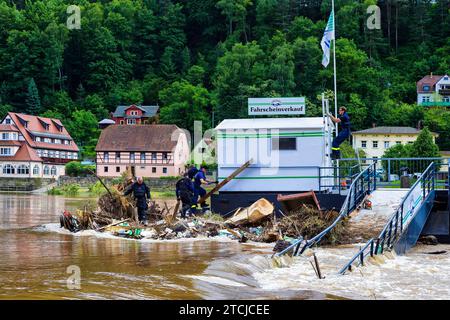 Hochwasserhelfer in Wehlen, zahlreiche Helfer, Freiwillige Feuerwehren und das THW räumen die Stadt zusammen mit den Menschen in Wehlen nach der Überschwemmung auf. Stockfoto