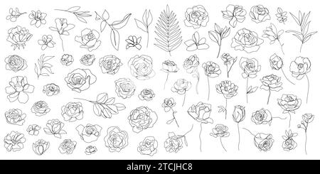 Vektorsatz aus einer Linie Kunstblumen, durchgehende Monoline Pflanzen, Rosen, Blätter, Äste. Blütenlogos, minimalistische Illustration. Einfache Skizze, schwarz Stock Vektor