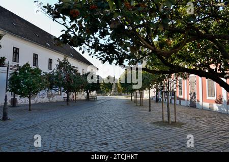 Budapest, Ungarn, Europa Stockfoto