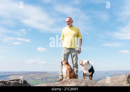 Ein glücklicher Rentner mit englischen Bulldoggen auf dem Gipfel des Berges, der am Herbsttag im Peak District spazieren geht. Hundeausbildung. Freizeit im Ruhestand. Stockfoto