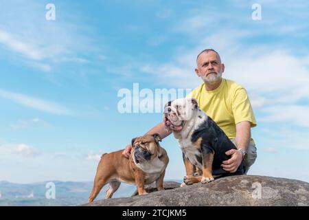 Ein glücklicher Rentner mit englischen Bulldoggen auf dem Gipfel des Berges, der am Herbsttag im Peak District spazieren geht. Hundeausbildung. Freizeit im Ruhestand. Stockfoto