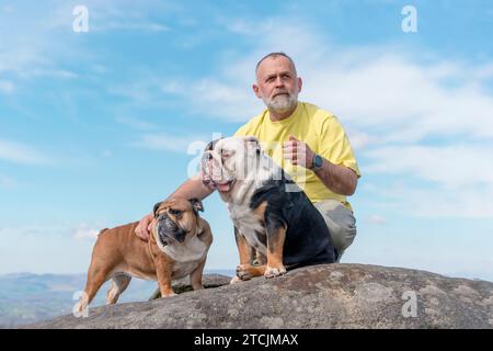 Ein glücklicher Rentner mit englischen Bulldoggen auf dem Gipfel des Berges, der am Herbsttag im Peak District spazieren geht. Hundeausbildung. Freizeit im Ruhestand. Stockfoto