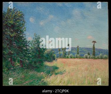 Sahurs Meadows in Morning Sun 1991 von Alfred Sisley Stockfoto