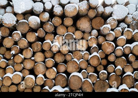 Gestapelte schneebedeckte schottenstämme. Schottland Stockfoto