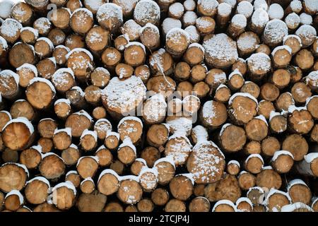 Gestapelte schneebedeckte schottenstämme. Schottland Stockfoto