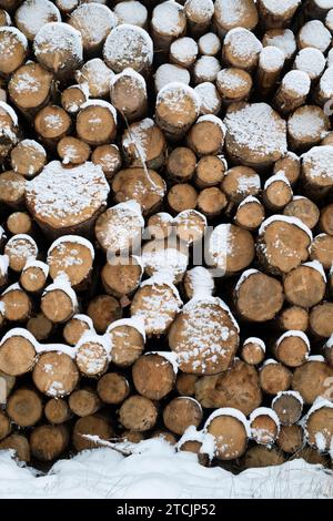 Gestapelte schneebedeckte schottenstämme. Schottland Stockfoto