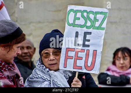 Marseille, Frankreich. Dezember 2023. Eine palästinensische Demonstrantin hält während der Demonstration ein Plakat mit der Aufschrift „Waffenstillstand“. Die Demonstration für einen Waffenstillstand im Gazastreifen fand nach einer Entscheidung des Verwaltungsgerichts zunächst vom Polizeipräsidium Bouches-du-RhÃ wegen ernsthafter Gefahr einer Störung der öffentlichen Ordnung verboten statt. (Credit Image: © Gerard Bottino/SOPA Images via ZUMA Press Wire) NUR REDAKTIONELLE VERWENDUNG! Nicht für kommerzielle ZWECKE! Stockfoto