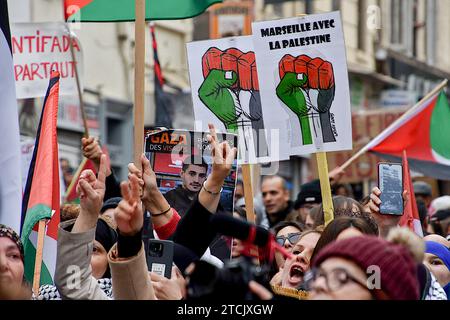 Marseille, Frankreich. Dezember 2023. Pro-palästinensische Demonstranten halten Plakate mit geballter Faust in den Farben Palästinas und zeigen das Siegeszeichen während der Demonstration. Die Demonstration für einen Waffenstillstand im Gazastreifen fand nach einer Entscheidung des Verwaltungsgerichts zunächst vom Polizeipräsidium Bouches-du-RhÃ wegen ernsthafter Gefahr einer Störung der öffentlichen Ordnung verboten statt. (Credit Image: © Gerard Bottino/SOPA Images via ZUMA Press Wire) NUR REDAKTIONELLE VERWENDUNG! Nicht für kommerzielle ZWECKE! Stockfoto