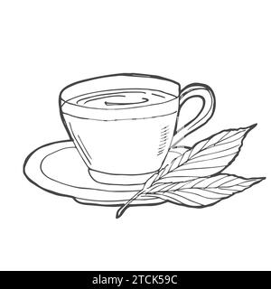 Tasse mit Teebeutel, handgezeichneter Umrisskontur. Heißgetränk - Teetasse Vektorskizze Illustration für Druck-, Web-, Mobile- und Infografiken isoliert auf wh Stock Vektor