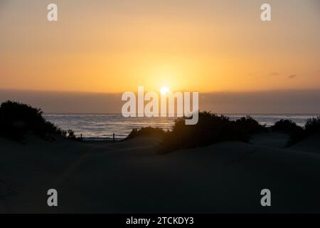 Sanddünen und Meer in Maspalomas bei Sonnenuntergang auf Gran Canaria in Spanien. Die riesigen Sanddünen ähneln einer kleinen Wüste und sind ein Naturschutzgebiet. Stockfoto