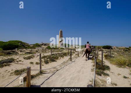 Esccursion a caballo por las dunas, Son Serra de Marina, Mallorca, balearen Inseln, Spanien Stockfoto