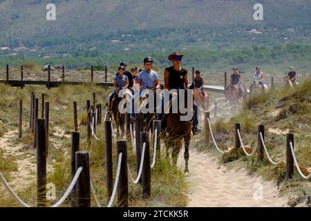 Esccursion a caballo por las dunas, Son Serra de Marina, Mallorca, balearen Inseln, Spanien Stockfoto